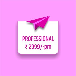 Professional Annual Plan